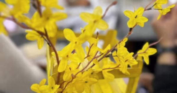 الاسكان الطلابي نظم ورشة الأعواد الخشبية للطالبات